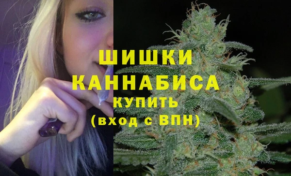 apvp Гусев