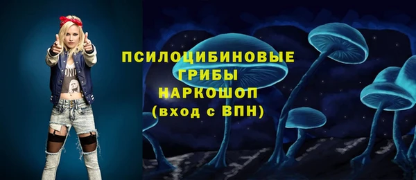 а пвп мука Гусь-Хрустальный