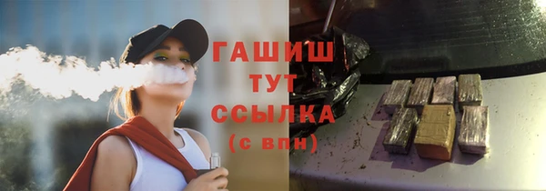 apvp Гусев