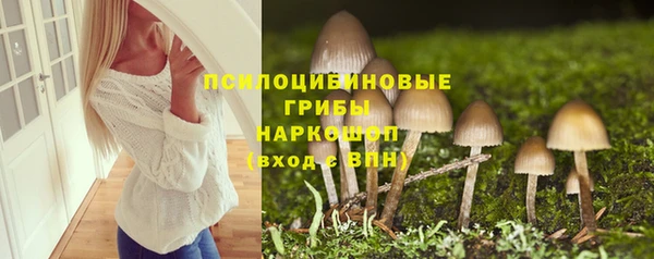 метадон Гусиноозёрск